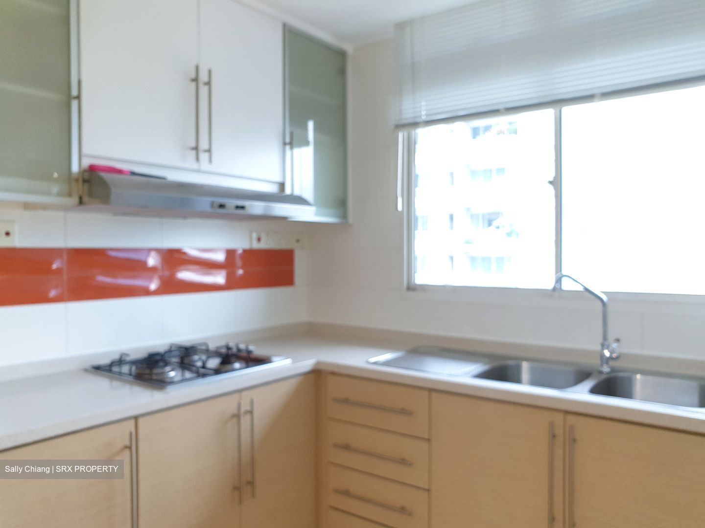 Rocca Balestier (D12), Apartment #433768751